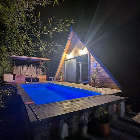 Unique Wooden Villa With Pool Olympiada Eksteriør billede