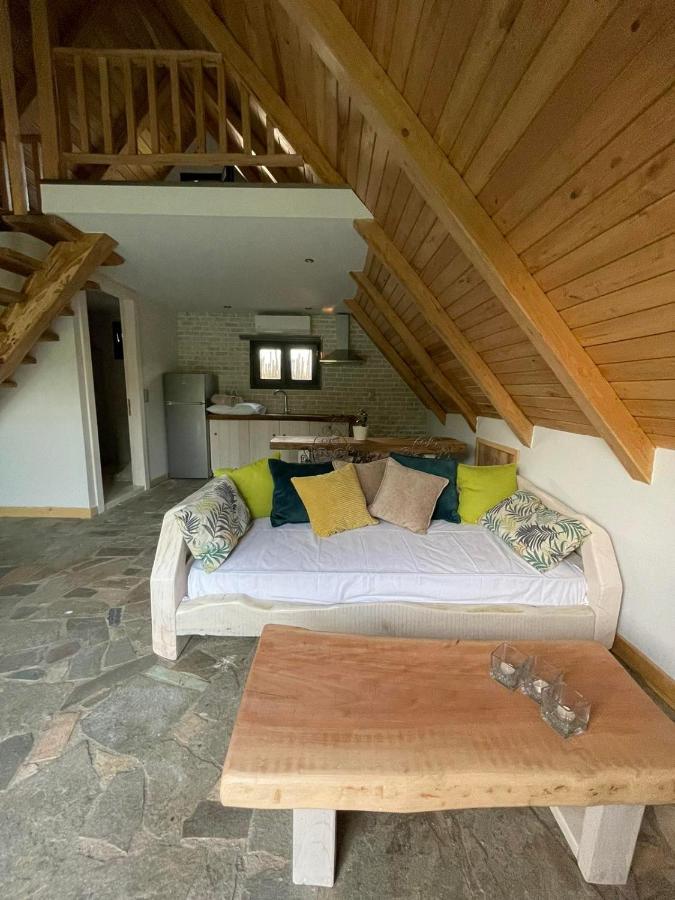 Unique Wooden Villa With Pool Olympiada Eksteriør billede